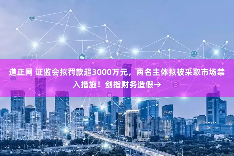 道正网 证监会拟罚款超3000万元，两名主体拟被采取市场禁入措施！剑指财务造假→