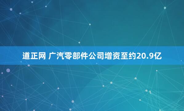 道正网 广汽零部件公司增资至约20.9亿