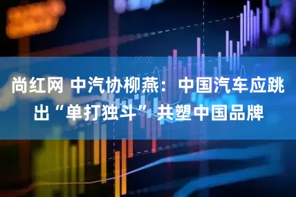 尚红网 中汽协柳燕:中国汽车应跳出“单打独斗” 共塑中国品牌
