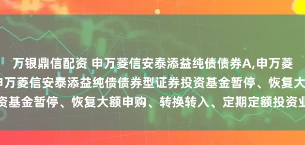 万银鼎信配资 申万菱信安泰添益纯债债券A,申万菱信安泰添益纯债债券C: 申万菱信安泰添益纯债债券型证券投资基金暂停、恢复大额申购、转换转入、定期定额投资业务的公告