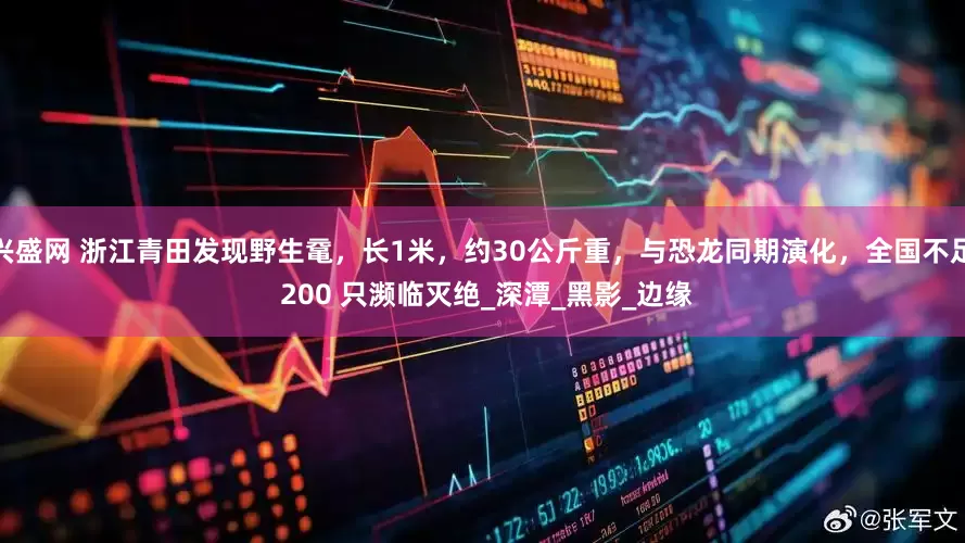 兴盛网 浙江青田发现野生鼋,长1米,约30公斤重,与恐龙同期演化,全国不足 200 只濒临灭绝_深潭_黑影_边缘