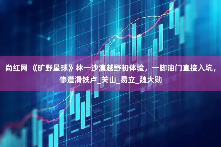 尚红网 《旷野星球》林一沙漠越野初体验,一脚油门直接入坑,惨遭滑铁卢_关山_易立_魏大勋