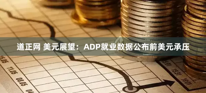 道正网 美元展望:ADP就业数据公布前美元承压